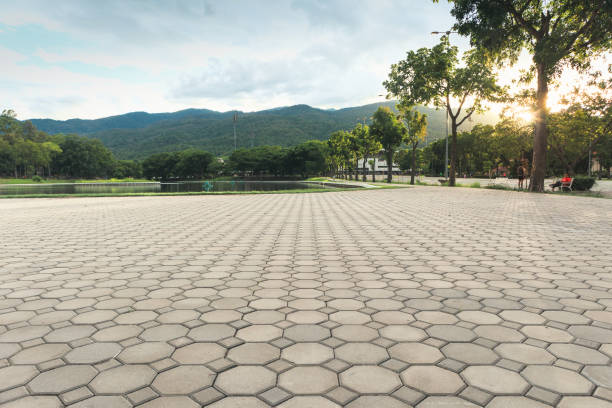 Best Decorative Driveway Pavers  in Eagle Lake, WI